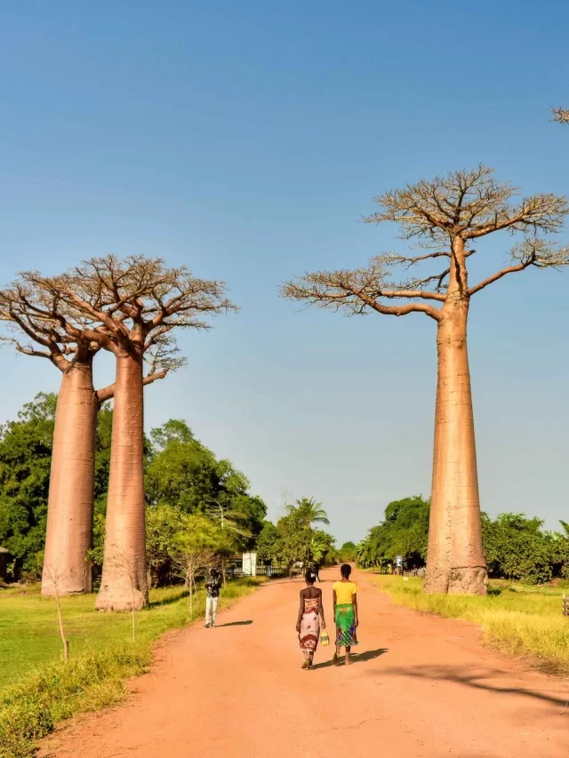 5 Reasons Why You Should Visit Madagascar in 2023