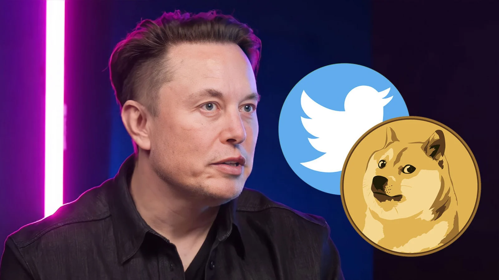 Elon Musk's Twitter Icon Switches to Doge Meme