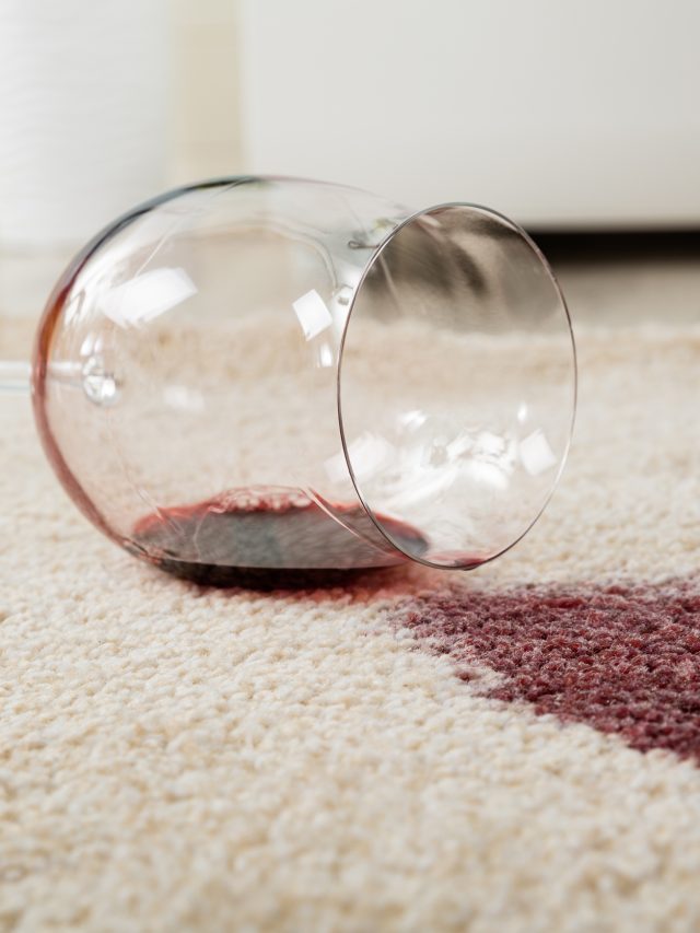 5 Essential Tips for Removing Stains and Odors from Carpets