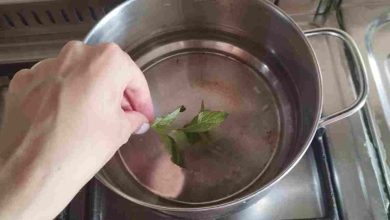 Boiling 3 Mint Leaves at Home